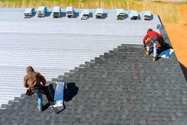 Best Roof Ventilation Installation  in Colfax, LA